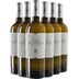 Fiano del Salento IGP-Paket - Cantine Paololeo 