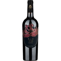 Rue 333 Taurasi DOCG - Nativ