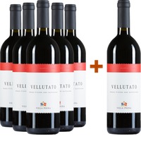 5+1 Paket Vellutato Rosso Piceno Superiore DOC - Cantina Villa Pigna