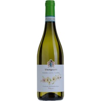 Terra delle Lame Verdicchio dei Castelli di Jesi Classico DOC - VignAmato