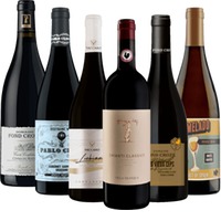 Organic Wine Award-prämierte Weine - 6x Probierpaket