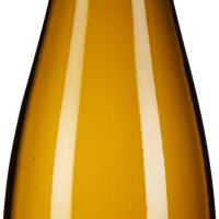 Ein Wildes Gläschen Grüner Veltliner