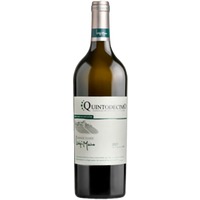 Quintodecimo Gran Cuvée Luigi Moio Irpinia Bianco DOC - - Kampanien, Italien