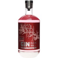 (37,00€/1l) Rammstein Pink Gin Limited Edition 2 0,7 Liter 38 % Vol
