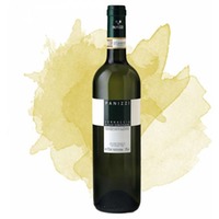 Vernaccia di San Gimignano Bio (Panizzi)