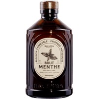 Minze Sirup