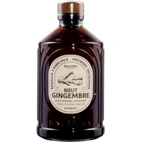 Ingwer Sirup