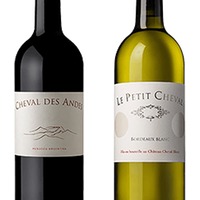 Caisse Duo Le Petit Cheval Blanc et Cheval des Andes 2022