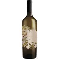 Glam Fiano di Avellino DOCG trocken - Vernice
