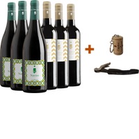 Capri Moonlight Weißwein Kennenlern-Paket + Geschenk - Capri Moonlight