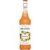 Monin Mandarine Sirup 