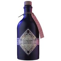 The Illusionist Dry Gin BIO 45%