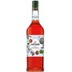 Giffard Wassermelone Sirup 