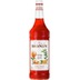 Monin Orange Spritz Sirup 