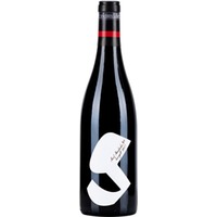 Zweigelt Ried Haidacker BIO - Weingut Glatzer