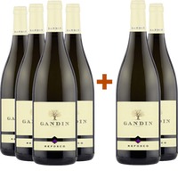 4+2 Paket Refosco dal Peduncolo Rosso Friuli Isonzo DOC - Gandin