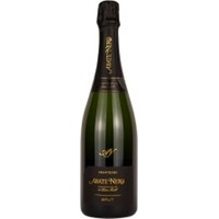 Trentodoc Brut