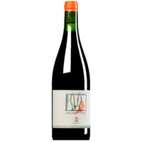 Cabernet Franc Costa Toscana IGT (BIO)