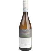 Pinot Grigio Vigneti delle Venezie DOC