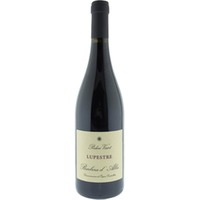 Lupestre Barbera d'Alba DOC - Poderi Vaiot