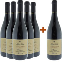 5+1 Bonarda Antavařìa Piemonte DOC - Poderi Vaiot