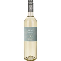 Pinot Grigio trocken - Tüzkö (Antinori)