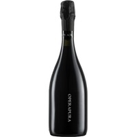 Opera 02 Operapura Dop Lambrusco Grasparossa Brut - - Emilia-Romagna, Italien