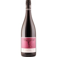 Le Petit Pinot Noir halbe Flasche 0,375l - Friedrich Becker