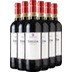 Thelem Barbera d’Asti Superiore DOCG Paket - Vignaquaranti 