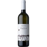 Italico Vino Bianco - Pietro Torti