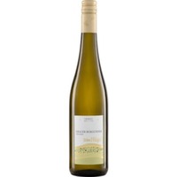 Grauburgunder Grüne Hügel Rheinhessen Immel - Weingut Immel Biowein