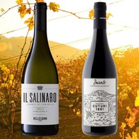 Weine zum Sommerausklang (12 Fl.) - frei Haus