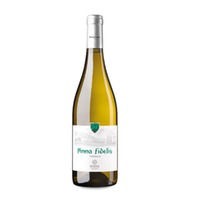 Pinna Fidelis Verdejo