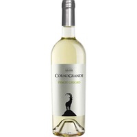 Corno Grande Pinot Grigio Colline Pescaresi IGP - Ettore Galasso