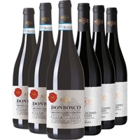 Nestore Bosco Montepulciano DOC Kennenlern-Paket - Nestore Bosco