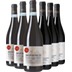 Nestore Bosco Montepulciano DOC Kennenlern-Paket - Nestore Bosco 