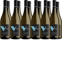 Pinot Grigio Veneto IGP-Paket - Bertazzo 1840