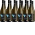 Pinot Grigio Veneto IGP-Paket - Bertazzo 1840 