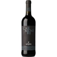 Carmenère Marca Trevigiana IGP - Tenuta Barbon