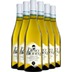 Orso Bianco Trebbiano Abruzzo DOC-Paket - Tenuta Micoli 