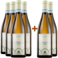 4+2 Saia Piemonte DOC - Bogge Wine