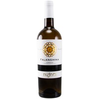 Nugnes Falanghina Campania IGT