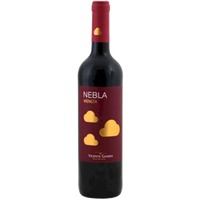 Nebla Mencía - Vincente Gandia