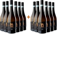 6+6 Pecorino Superiore Abruzzo DOC Bio BIO - Uma Casanatura