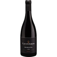 Patienta Lazio IGP BIO - CantinAmena