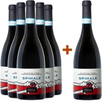 5+1 Paket "Spinale" Aglianico del Vulture DOC - Nima