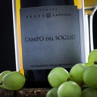 San Martino della Battaglia Campo del Soglio