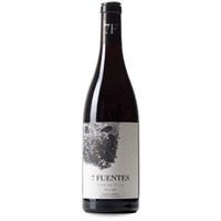 Suertes del Marqués 7 Fuentes