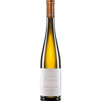 Grüner Veltliner Nussberg - Weingut Wieninger