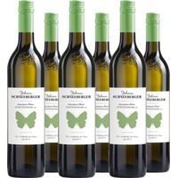 Sauvignon Blanc Südsteiermark DAC